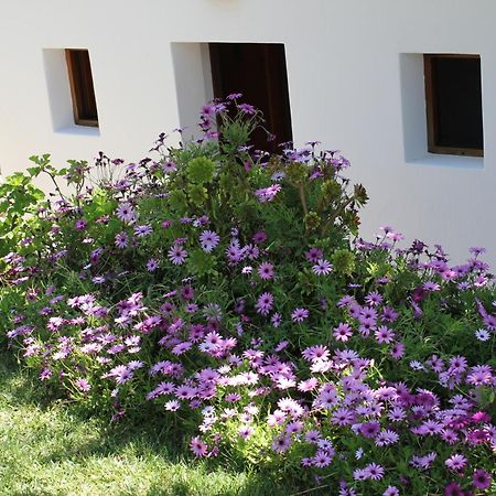 Agroturismo Can Fuster Sant Joan de Labritja Kültér fotó