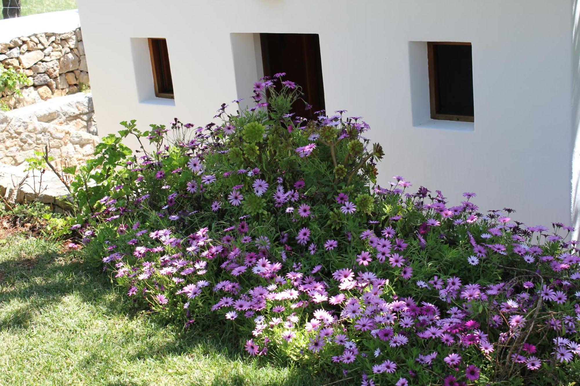 Agroturismo Can Fuster Sant Joan de Labritja Kültér fotó