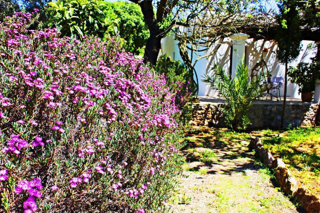 Agroturismo Can Fuster Sant Joan de Labritja Kültér fotó